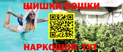 шишки Тверь