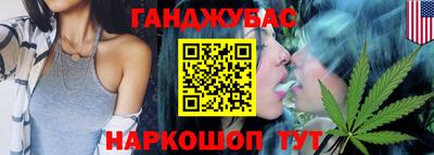 шишки Тверь