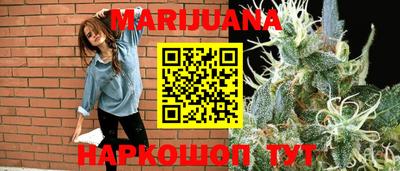 шишки Тверь