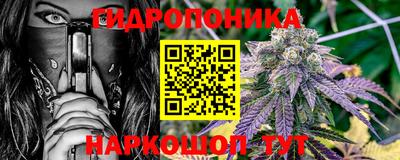шишки Тверь