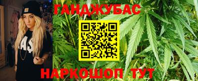 шишки Тверь
