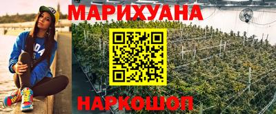 шишки Тверь