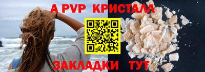 шишки Тверь